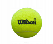 WILSON padelio kamuoliukai Premier Padel Ball Speed, 3 vnt. (dėžutė)